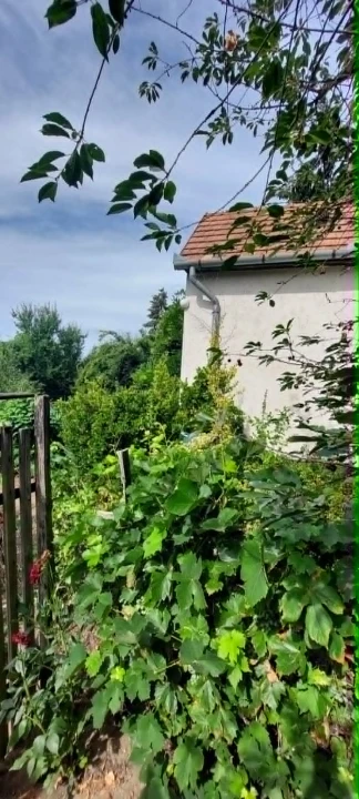 c3-1-name c2-81-name, Debrecen