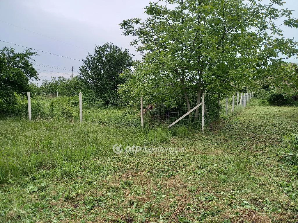 For sale periphery plot, Délegyháza, 2-es tó környéke