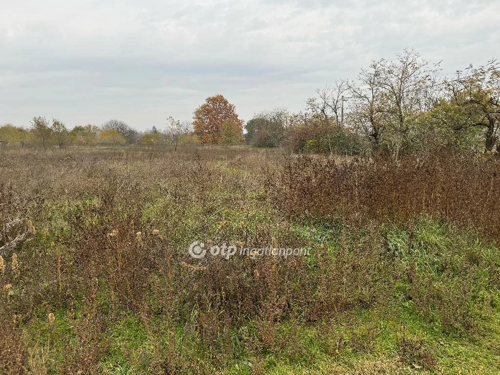 For sale building plot, Taksony