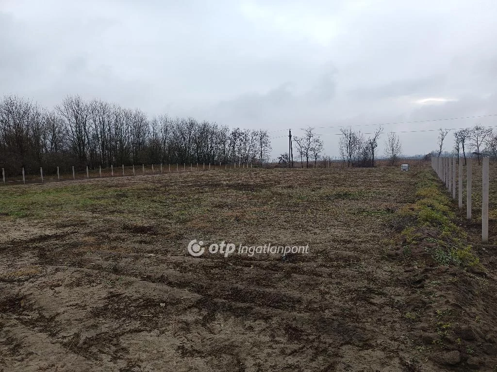 For sale building plot, Kiskunlacháza