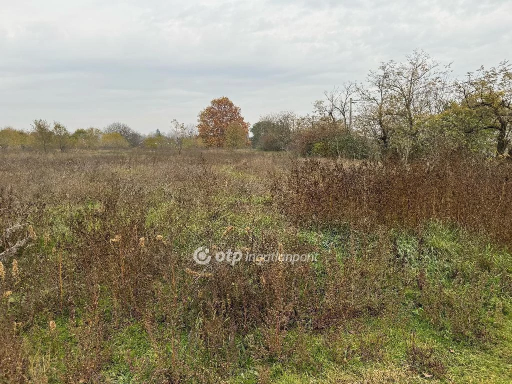 For sale building plot, Taksony, Új építésű részen