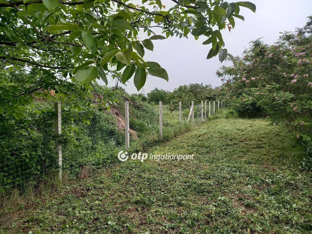Eladó Telek, Délegyháza