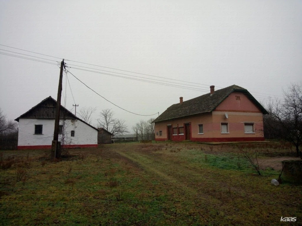 Tanya | 4 szobás, 120 nm-es főépülettel, 2852 nm-es területtel, lakható tanya