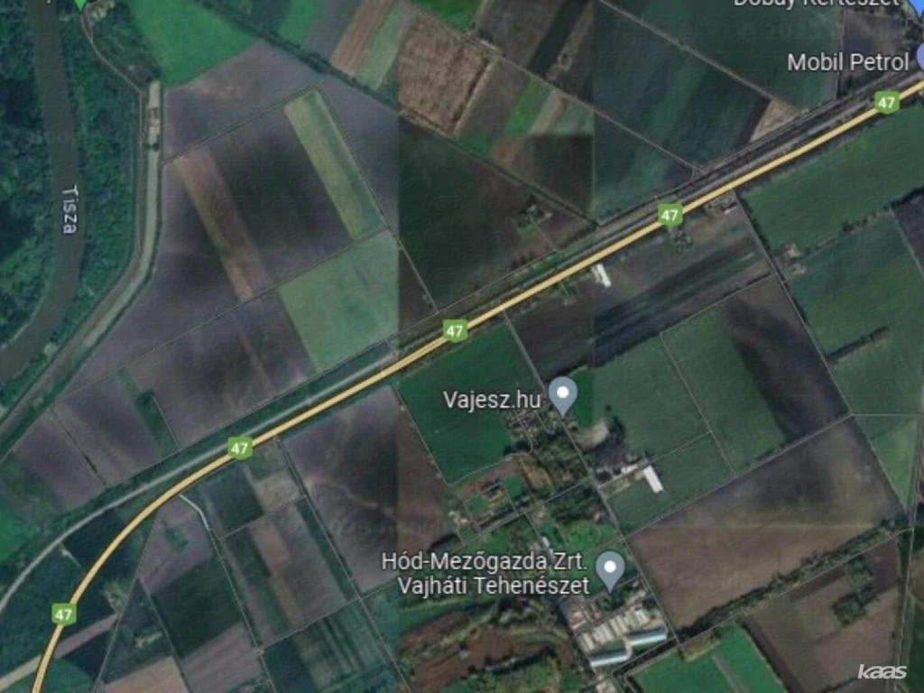 c3-1-name c2-54-name, Hódmezővásárhely, Külterület