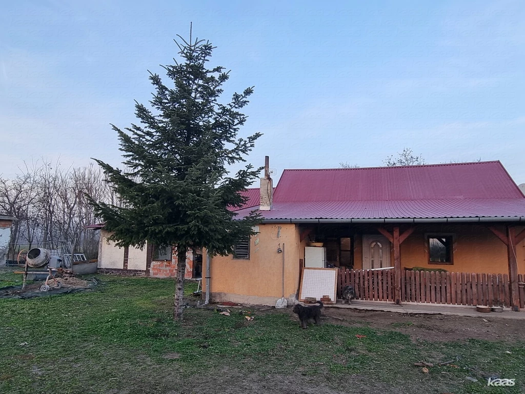 For sale grange, Balástya, Gajgonya