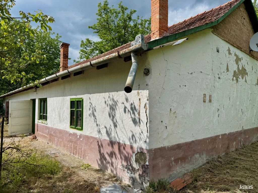 Tanya — Balástya (Gajgonya)
