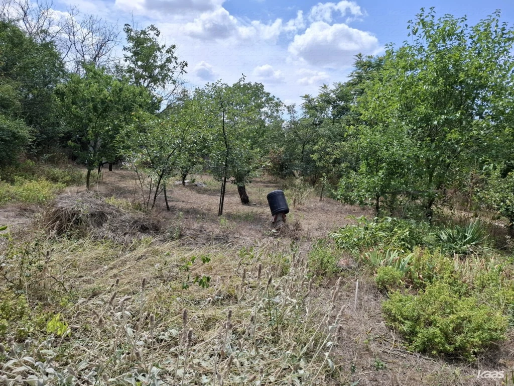 c3-1-name c2-81-name, Szeged, Ballagitó zártkert