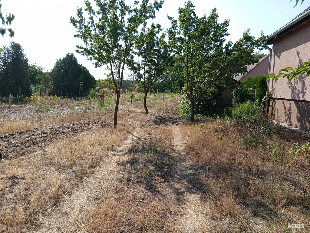 c3-1-name c2-50-name, Kelebia, Belterület