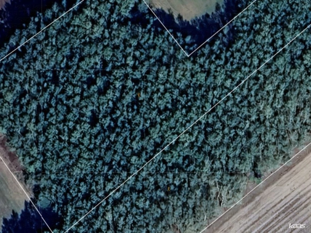 c3-1-name c2-54-name, Mórahalom, Külterület