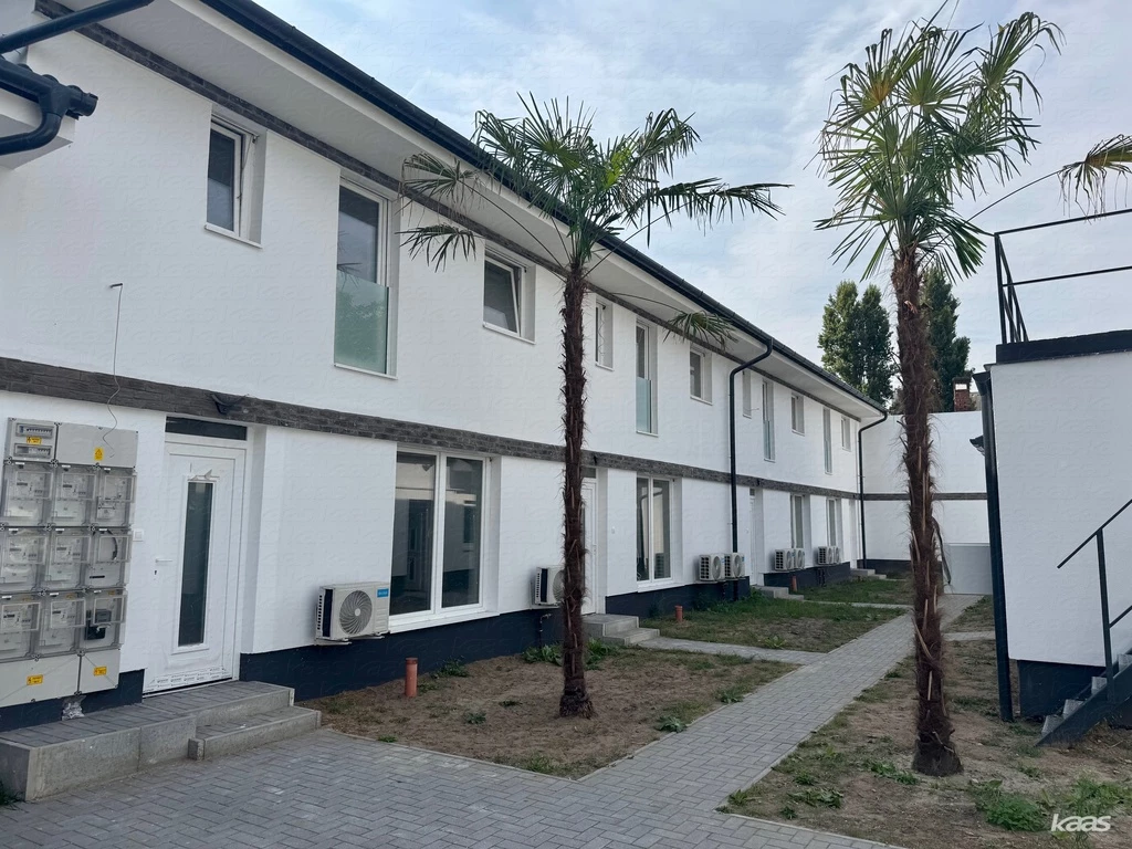 c3-1-name c2-19-name, Szeged, Rókus