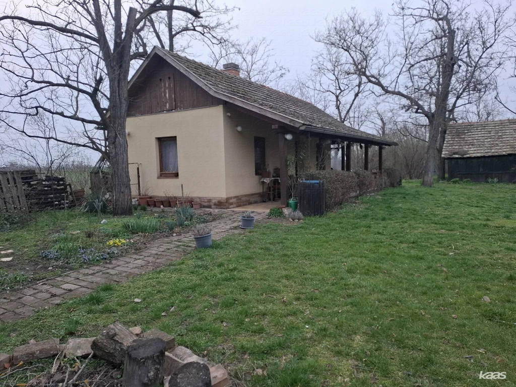 Vásárhelyen bájos tanya eladó |