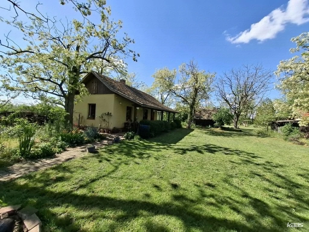 c3-1-name c2-55-name, Hódmezővásárhely, Külterület