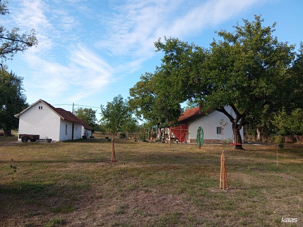 c3-1-name c2-55-name, Ruzsa, Külterület