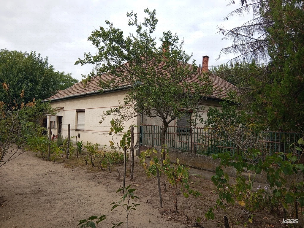 c3-1-name c2-1-name, Kelebia, Külterület