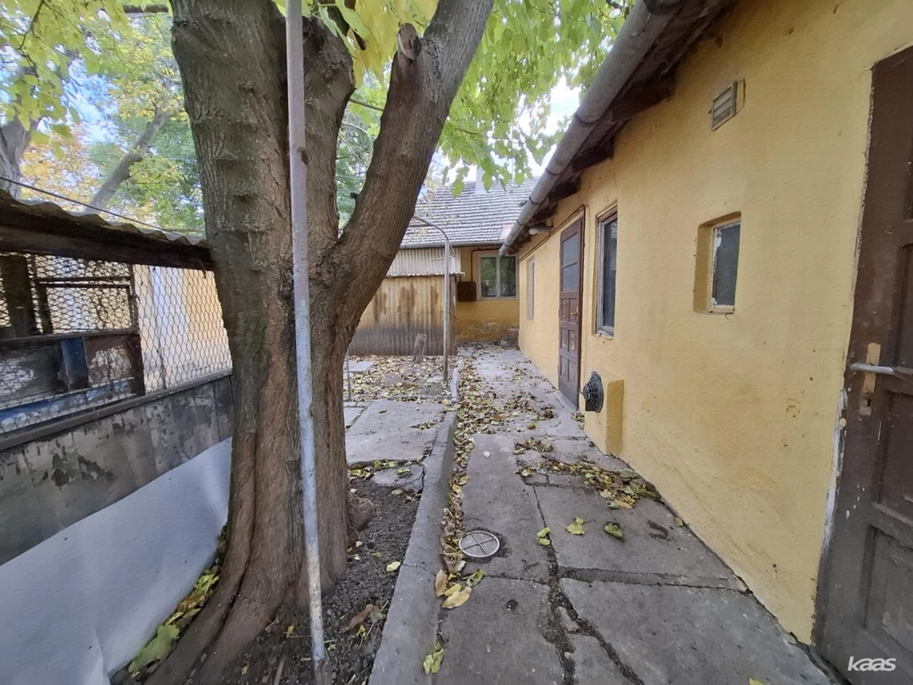 c3-1-name c2-1-name, Szeged, Móraváros