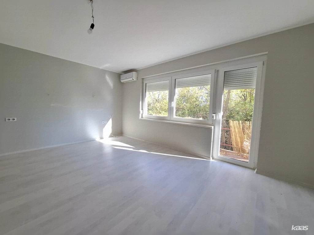 Szeged – Újszeged, Fő fasor |