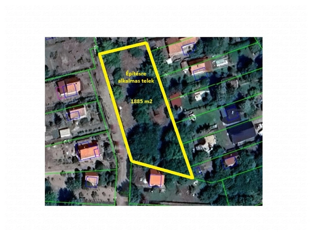 c3-1-name c2-50-name, Szeged, Subasa