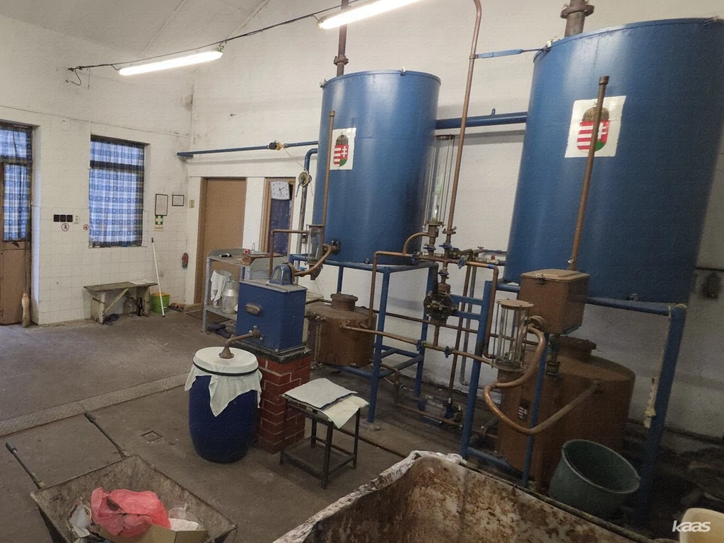 c3-1-name c2-55-name, Zsombó, Külterület