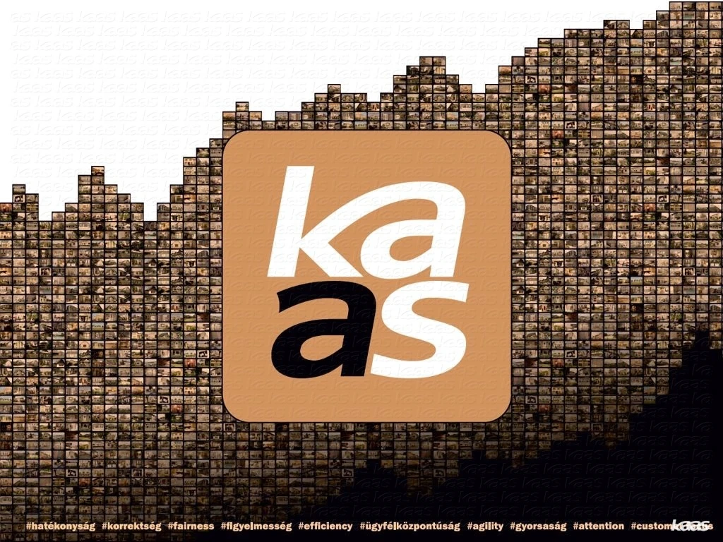 Falusi CSOK-os ház |