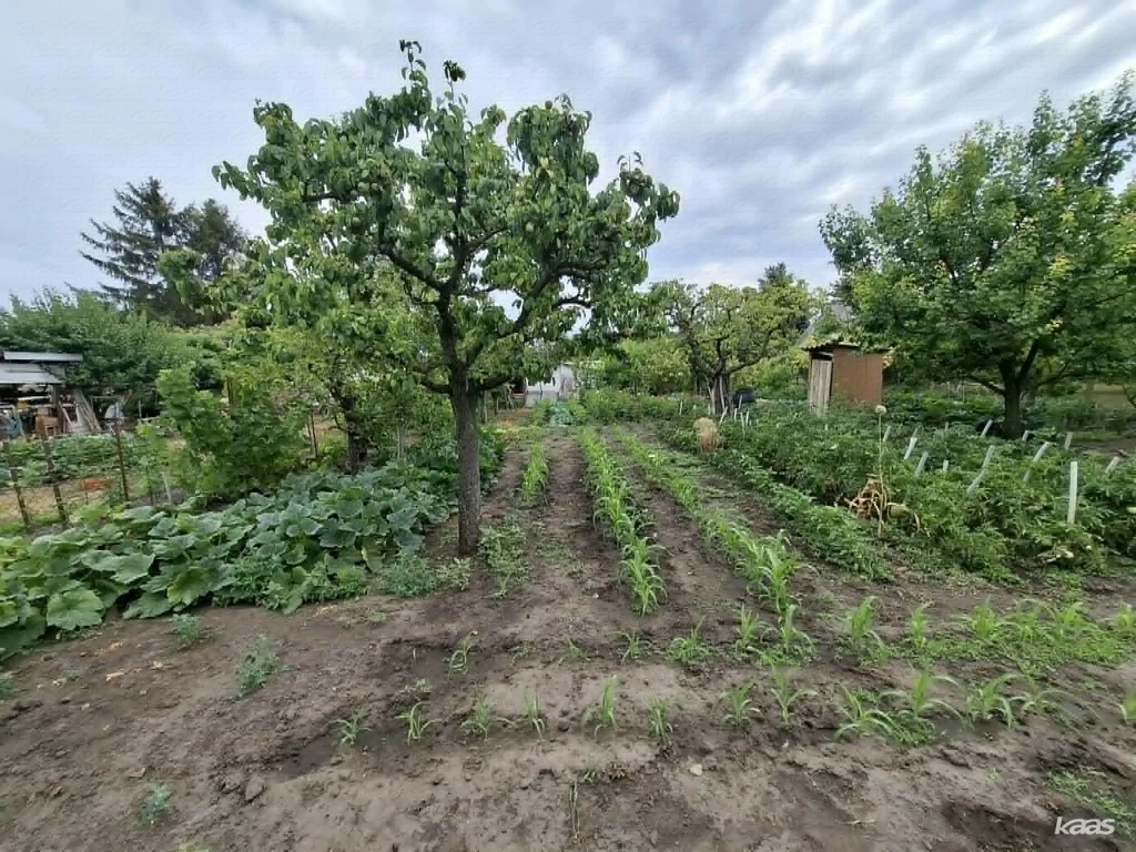Subasán zártkert villannyal |