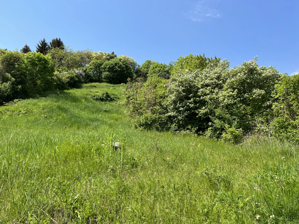 For sale building plot, Szentendre, Tyúkosdűlő