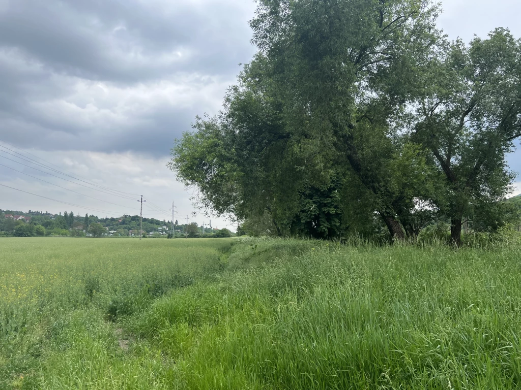 For sale building plot, Budapest III. kerület, Csúcshegy, Solymárvölgyi út