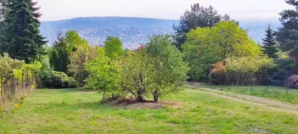 Eladó építési telek, Budapest III. kerület, Csúcshegy, Menedékház utca