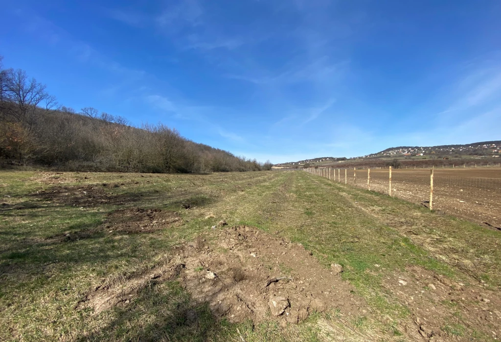 For sale building plot, Dörgicse, Szőlő