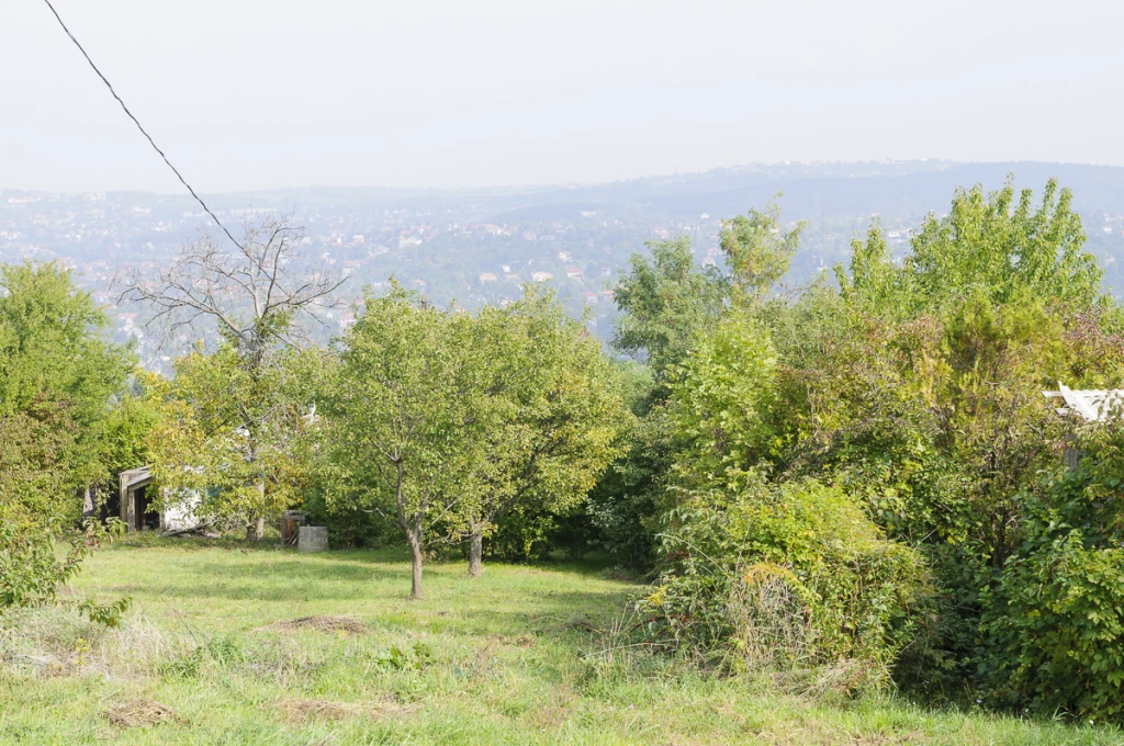 For sale building plot, Budapest III. kerület, Csúcshegy, Menedékház utca