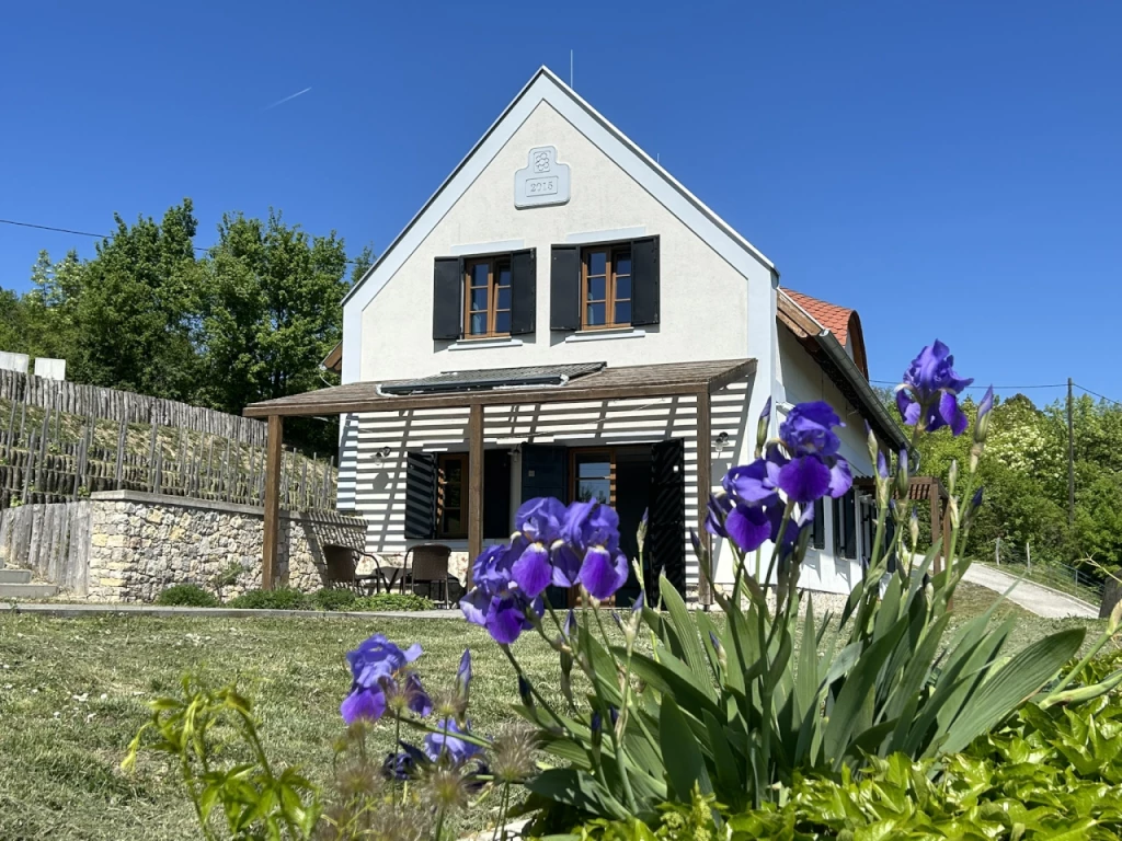 For sale house, Vászoly, Kakashegy