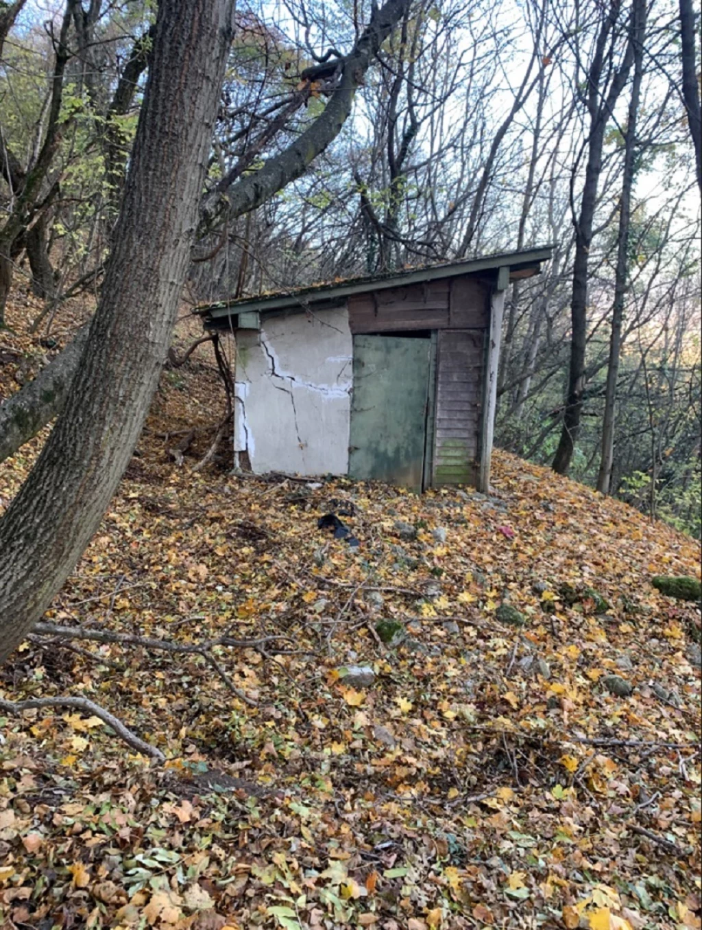 Az Eladó a vételárba, 12 MFt-ig be tud számítani jó állapotú lakóautót is!