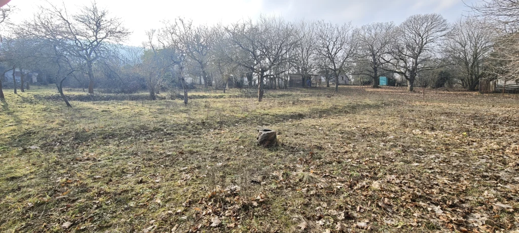 Eladó építési telek, Budapest III. kerület, Csúcshegy, Vadászles utca