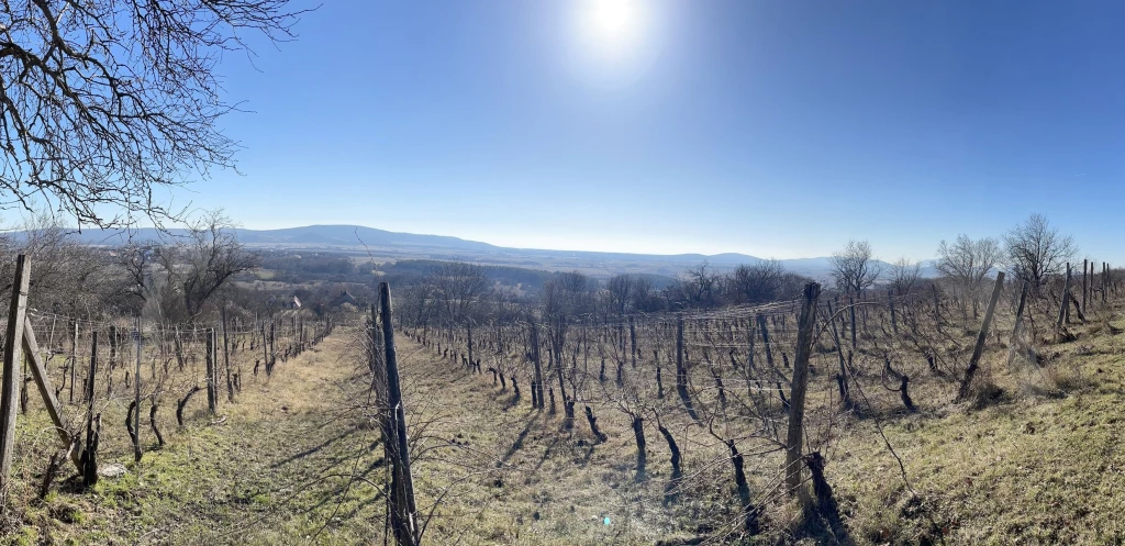 Eladó építési telek, Köveskál, Fekte-hegy lába alatt