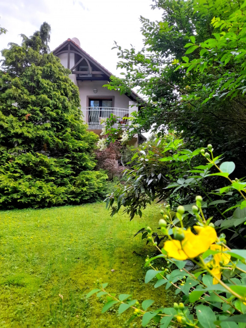 For sale house, Budapest III. kerület, Rómaifürdőnél, Attila utca