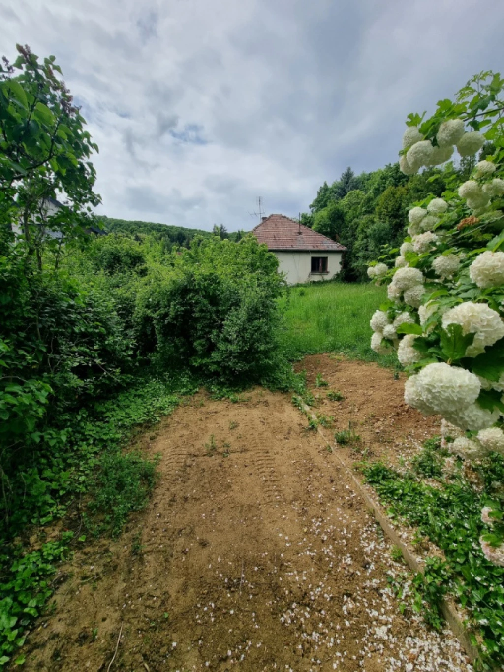 II. kerület, Gyöngyvér utca, 913 m²-es, telek