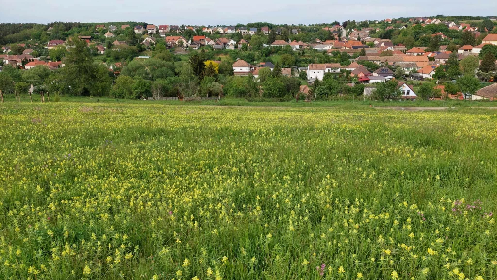 Berkenye, Bérc utca, 1949 m²-es, telek