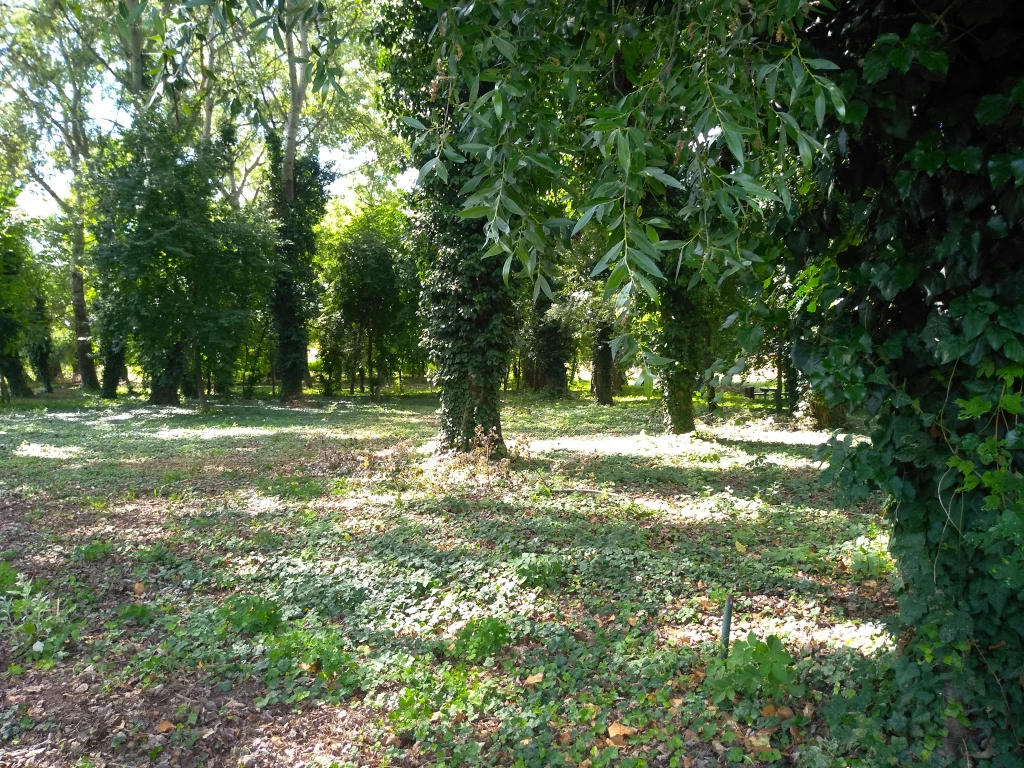 For sale building plot, Kerepes, Kerepes 4483 utca