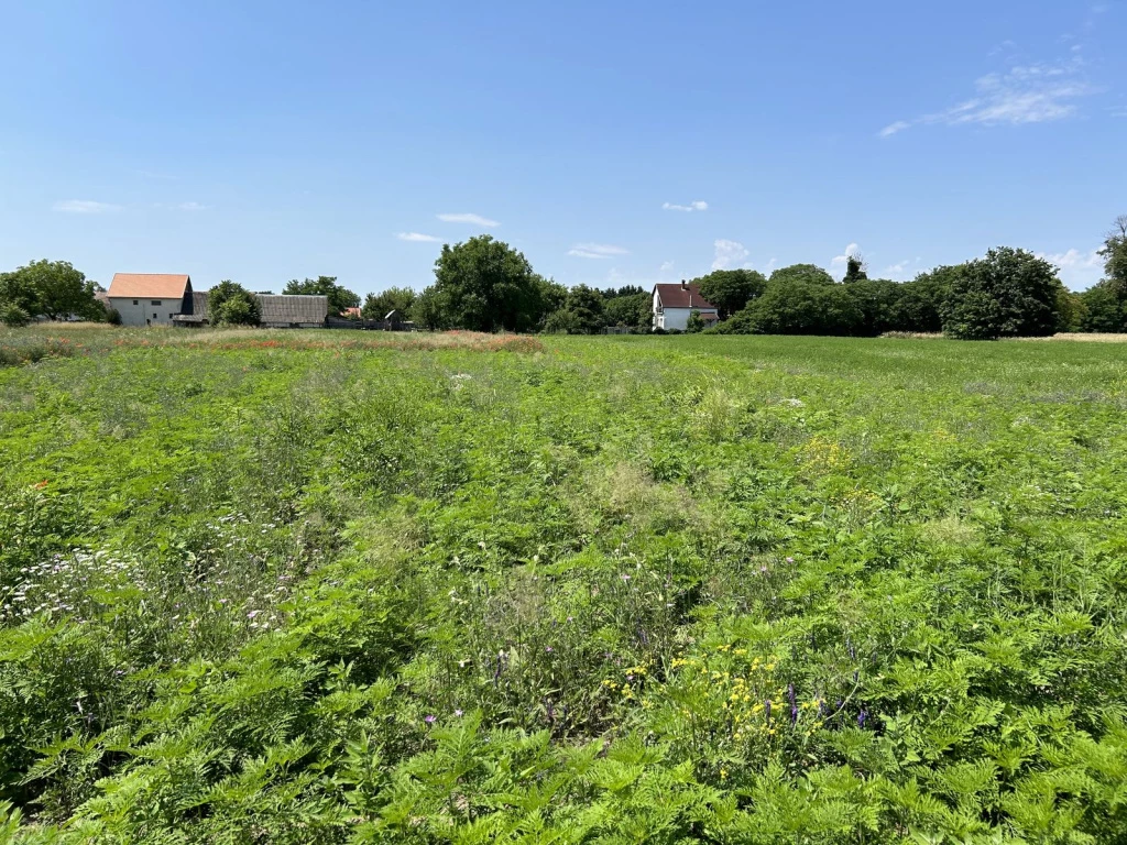 For sale building plot, Dömsöd, Áchim András köz