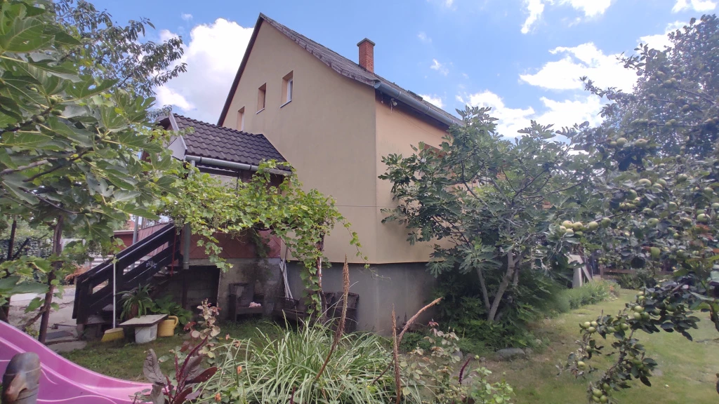 For sale house, Pusztaszabolcs, Kastély utca