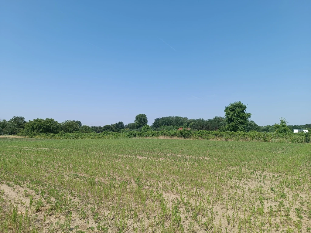 For sale building plot, Helvécia, Kecskeméttől mindössze 5 perc autóútra, Helvécián, kettő utcafrontos jelenleg külterületi, 6292m2.es telek eladó!