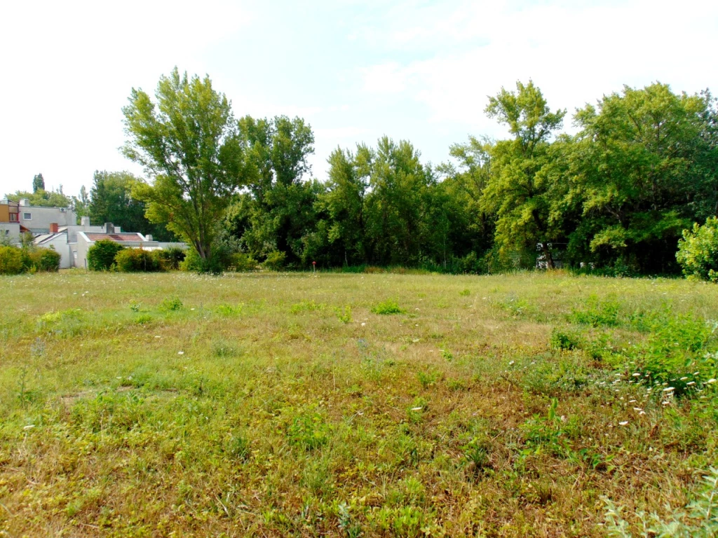 For sale building plot, Gárdony, Csendes zsák utca