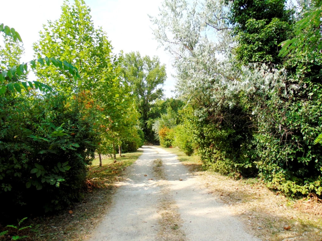 For sale building plot, Gárdony, Nyugodt mellék utca