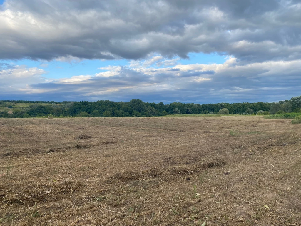 Erdőkertes, Fő utca felől megközelíthető, 3000 m²-es, telek