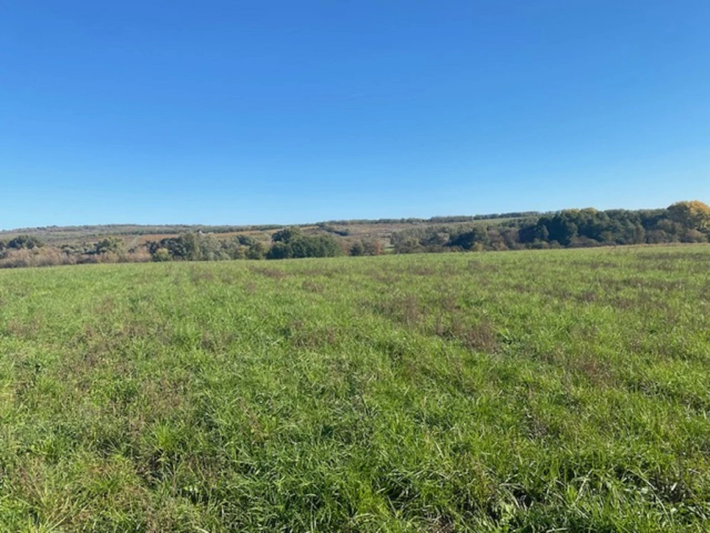 Erdőkertes, Fő utca felől megközelíthető, 3000 m²-es, telek