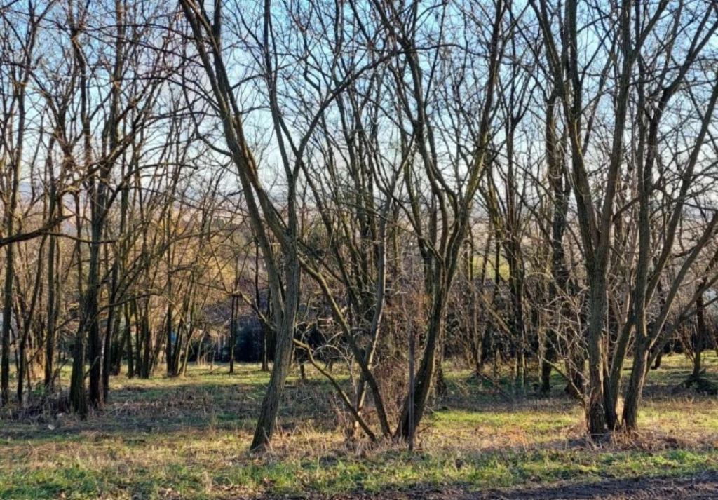 For sale building plot, Fonyód, Várhegy