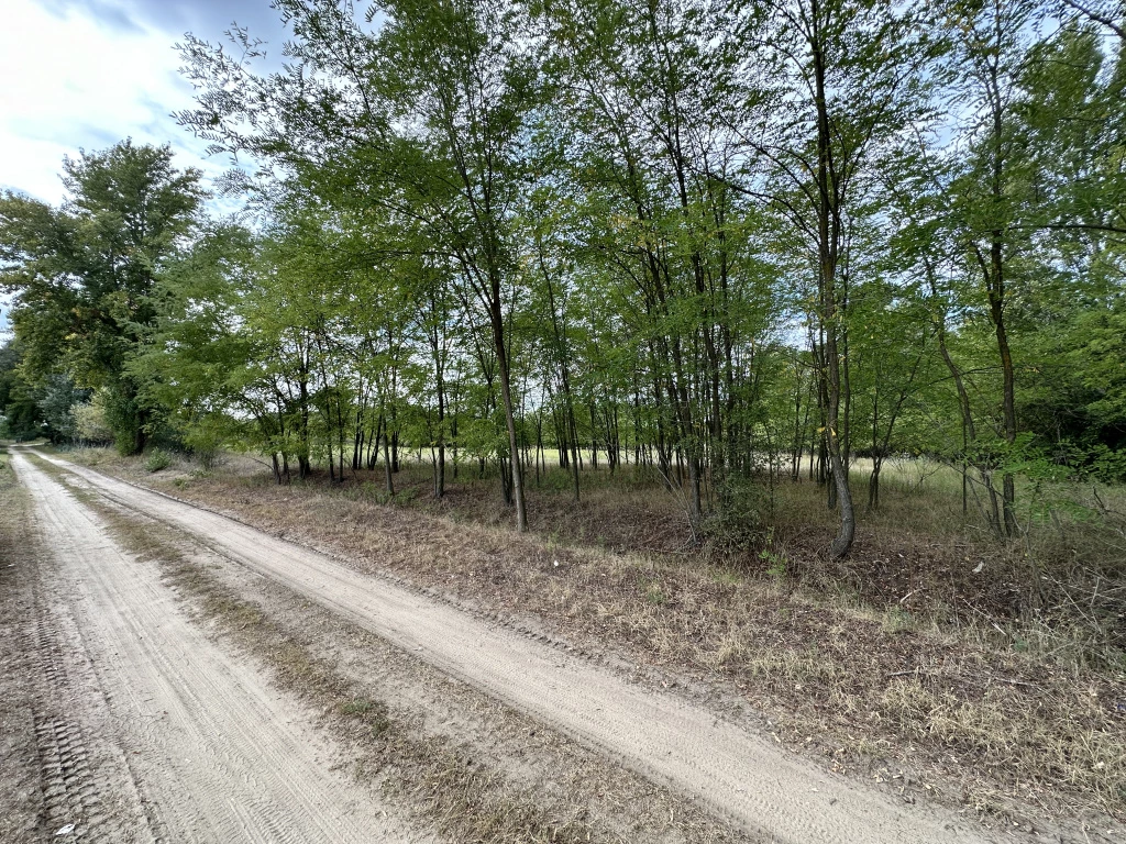 For sale building plot, Felsőlajos, Szántó - Erdő