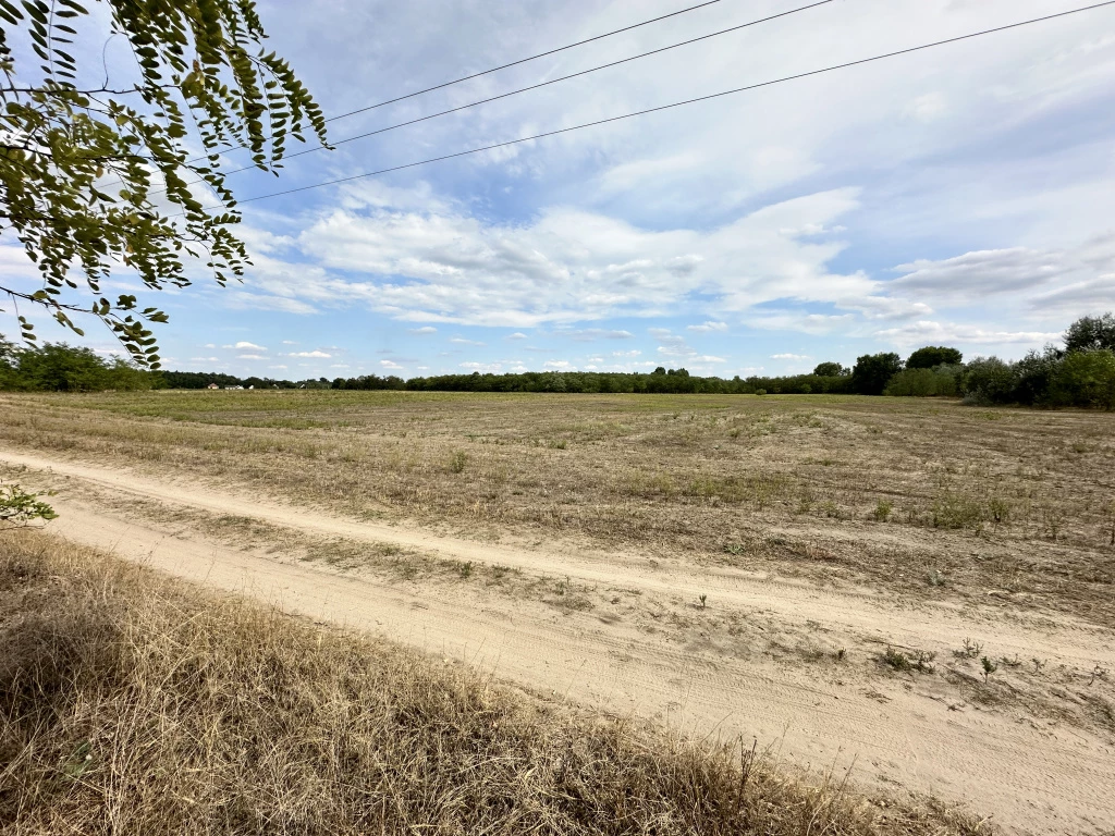 For sale building plot, Felsőlajos, Szántó