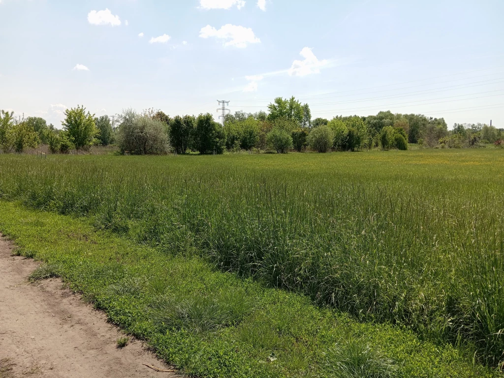 X. Kerület, Pilisi utca, 3917 m²-es, telek