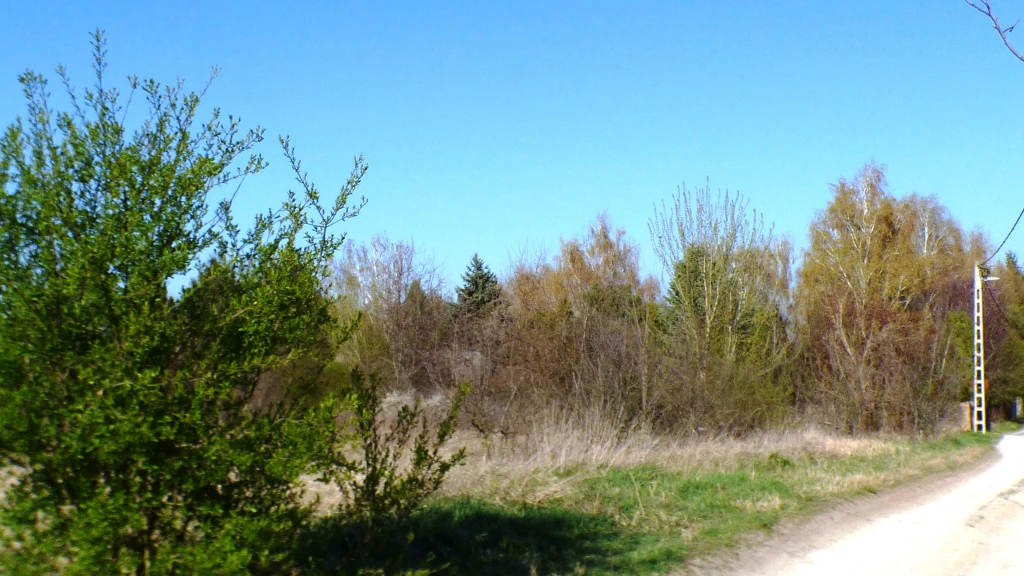 Siófok, Békásdűlő dűlő, 5574 m²-es, telek