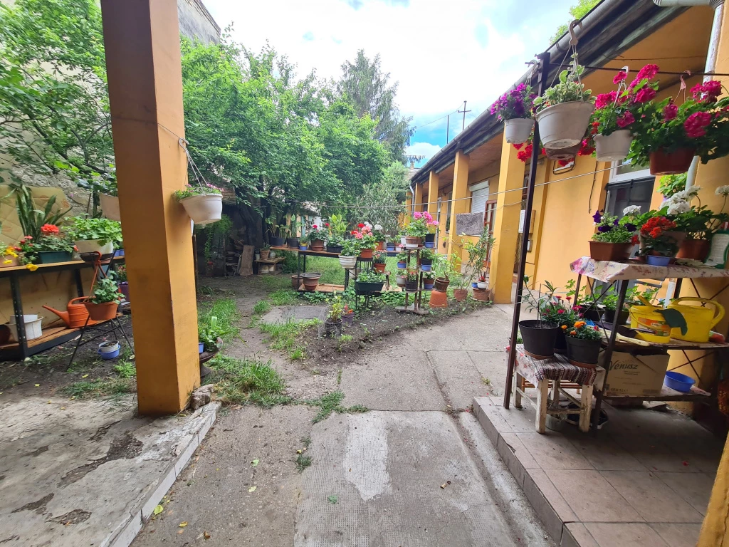 XV. Kerület, Molnár Viktor utca, 30 m²-es, földszinti, társasházi lakás